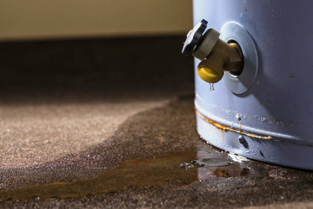 Best Local water damage restoration  in Pompano Beach, FL