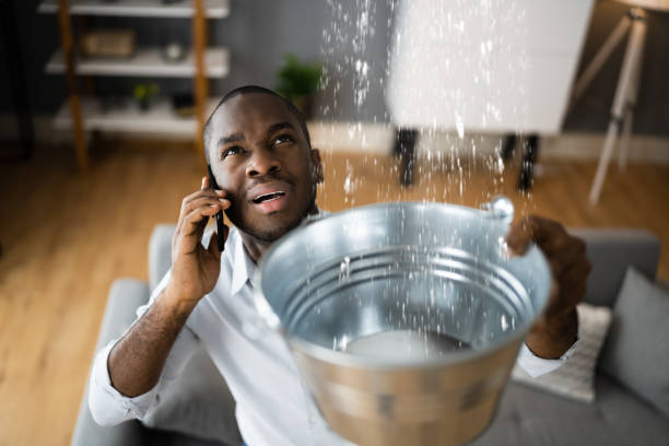 Best Ceiling water damage repair  in Pompano Beach, FL