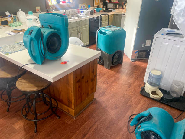 Best Professional water damage repair  in Pompano Beach, FL