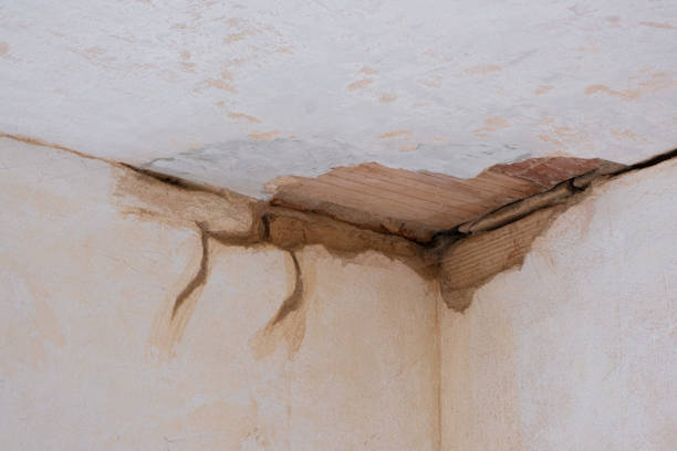 Best Emergency water damage restoration  in Pompano Beach, FL