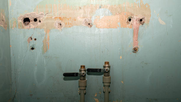  Pompano Beach, FL Water damage restoration Pros