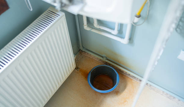 Best Carpet water damage restoration  in Pompano Beach, FL