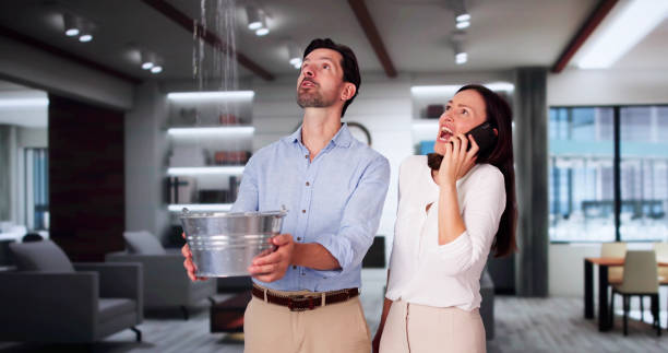 Best Flooded house restoration  in Pompano Beach, FL